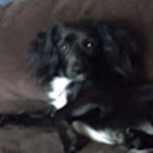 Meet your Posher, Clarissa